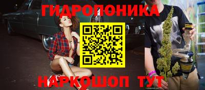 хмурый Абакан