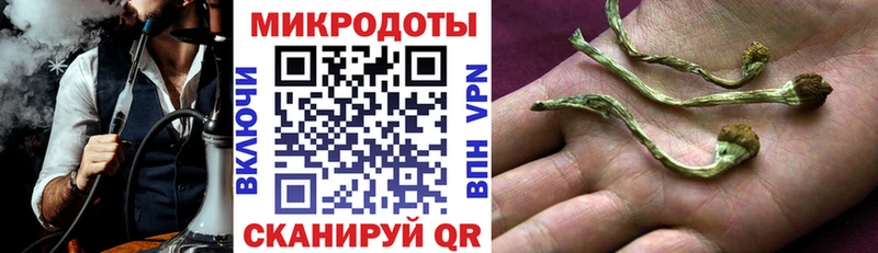 Псилоцибиновые грибы Cubensis  Азнакаево 