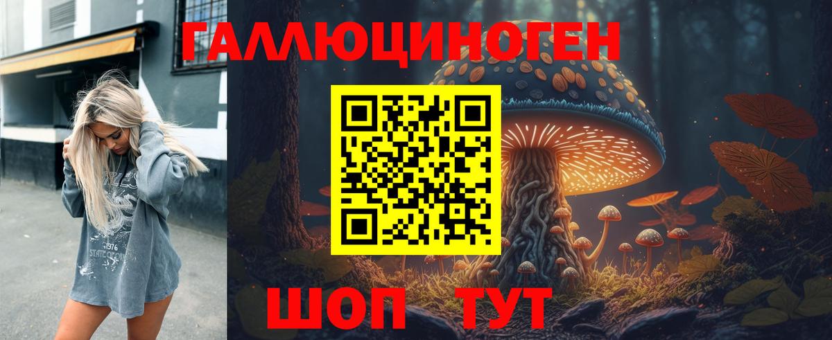 Азнакаево  Галлюциногенные грибы GOLDEN TEACHER  Вход с VPN 
