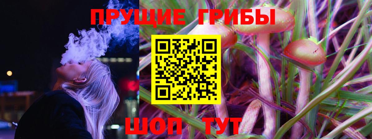 Галлюциногенные грибы Psilocybe  Галлюциногенные грибы Cubensis  Азнакаево 