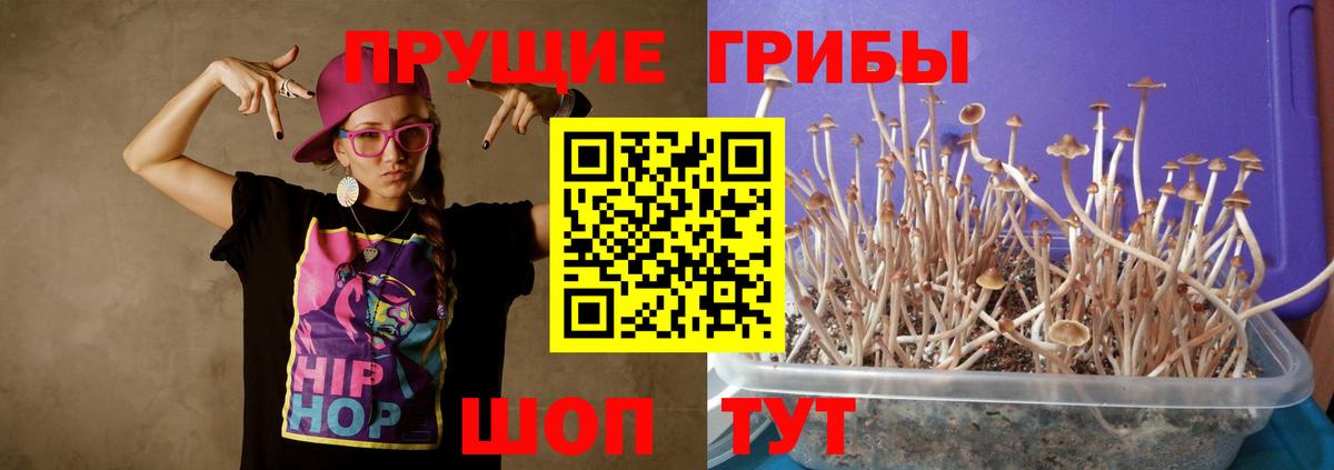 Псилоцибиновые грибы Magic Shrooms Азнакаево